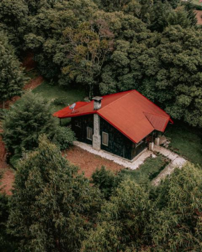 Hotels in Sabana Redonda